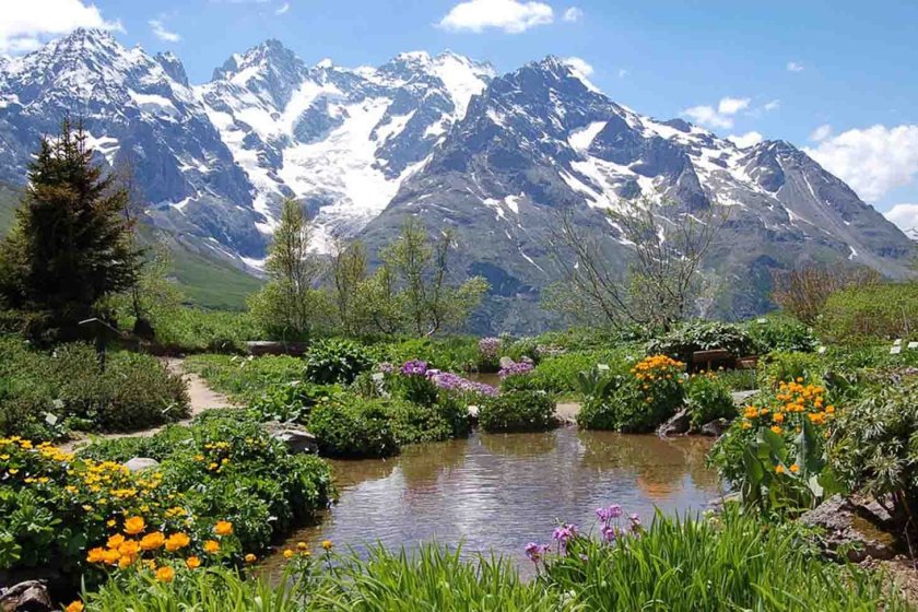 Альпийские Луга Швейцария Альпийские Луга Швейцария