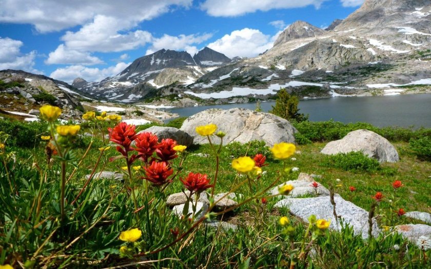 Альпийские Луга Швейцария Альпийские Луга Швейцария