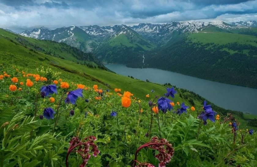 Алтайский заповедник Катунский заповедник
