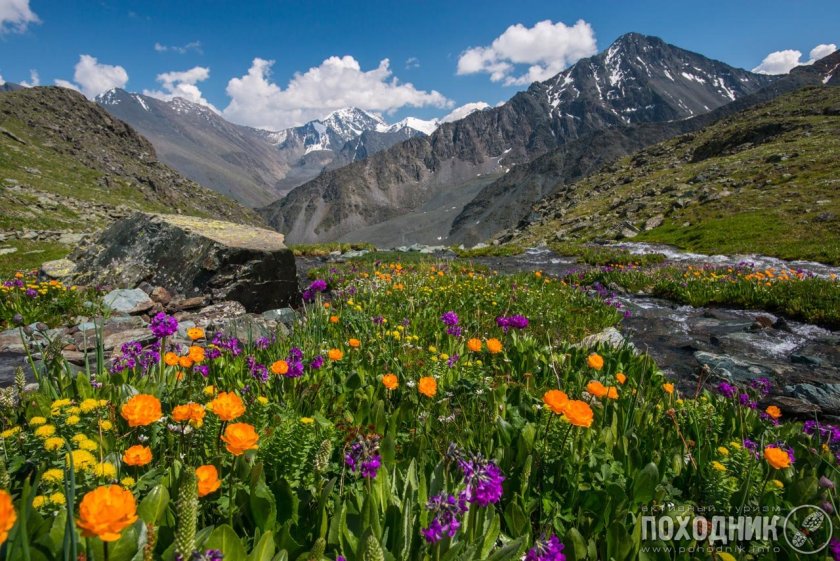 Природа Алтая гора Белуха