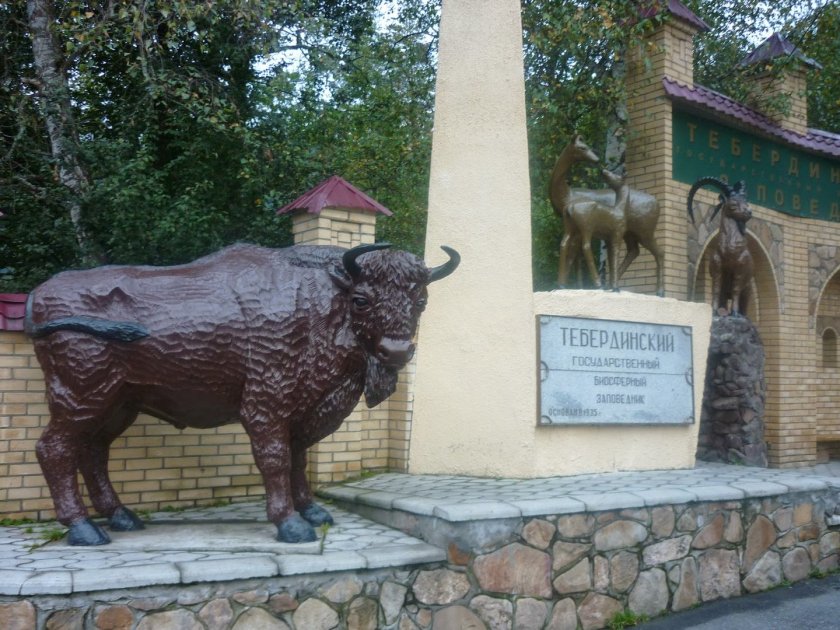 Тебердинский заповедник животных