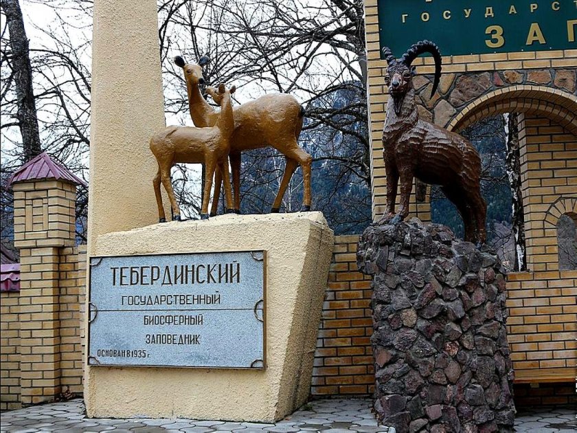 Тебердинский заповедник Домбай