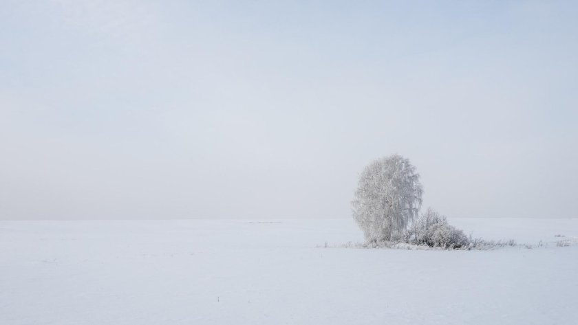 Пустое зимнее поле