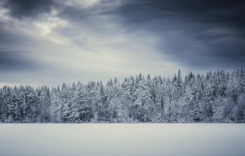 Зимнее поле панорама
