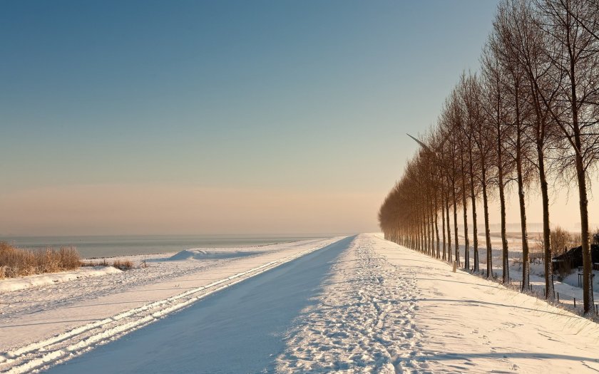 Заснеженная дорога