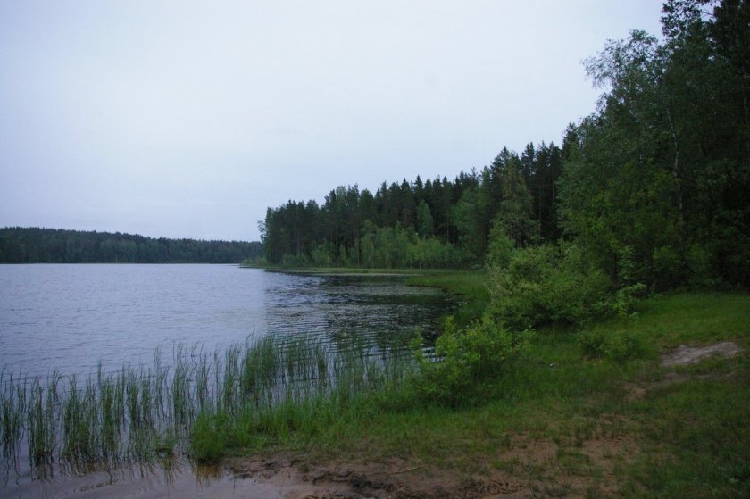 Озеро глухое Ленинградская область