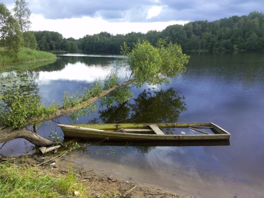 Озеро Городно Псковская область