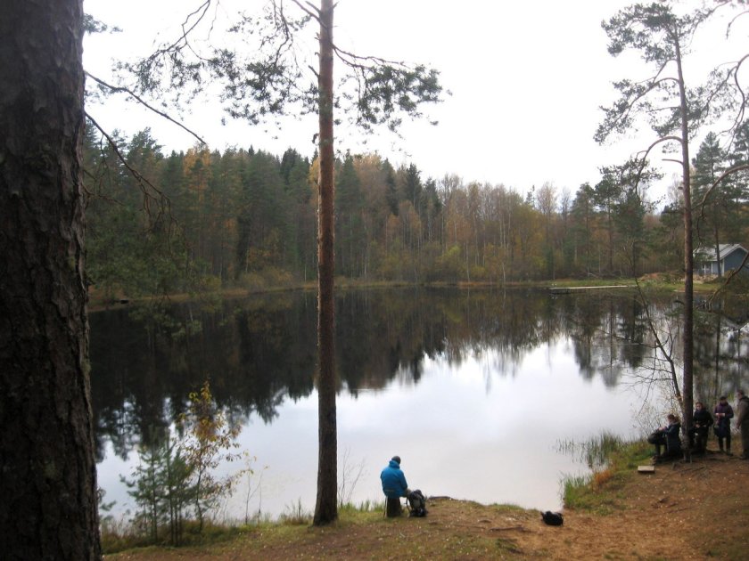 Озеро черное Лужский район