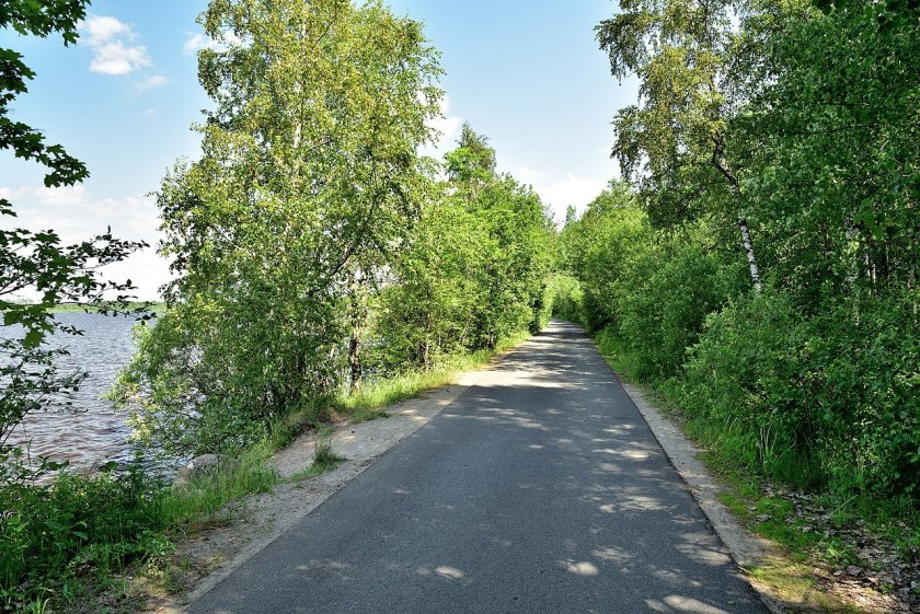Дорога на глухое озеро Сестрорецк