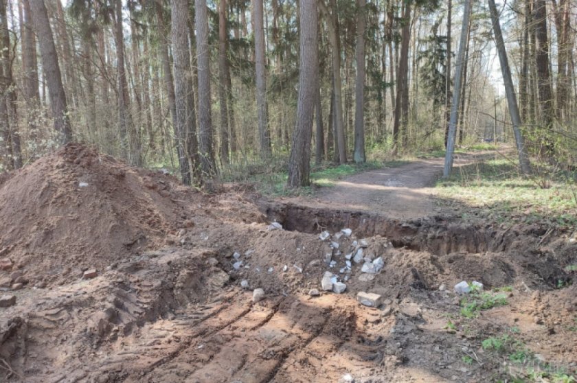 Леса Калужской области