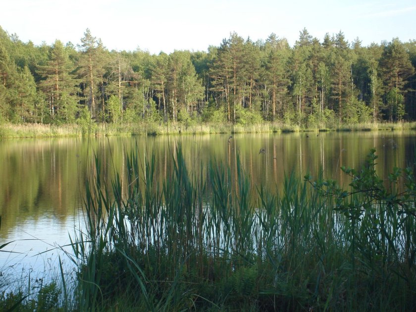 Озеро глухое Ленинградская область