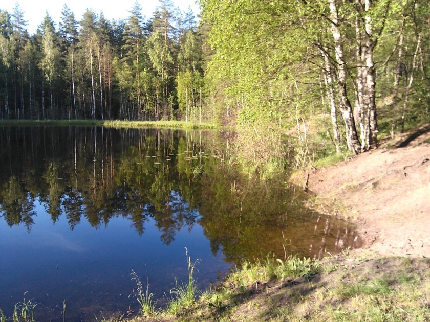 Озеро глухое Лужский район