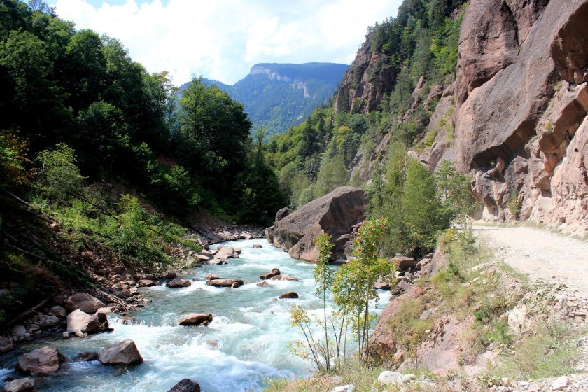 Река Лаба Краснодарский край