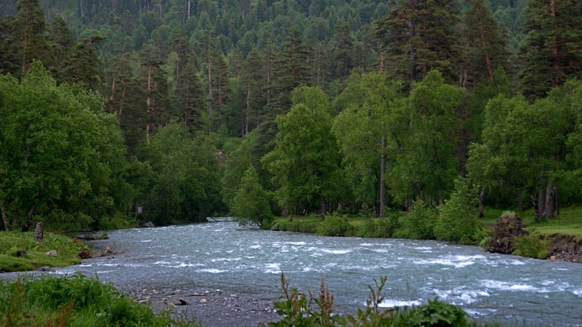 Река Пшиш Краснодарский край