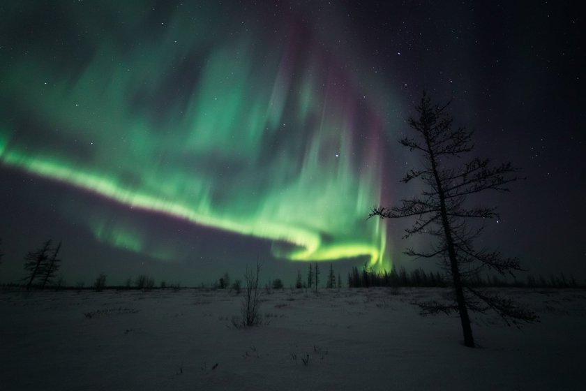 Полярная ночь Северное сияние Ямал