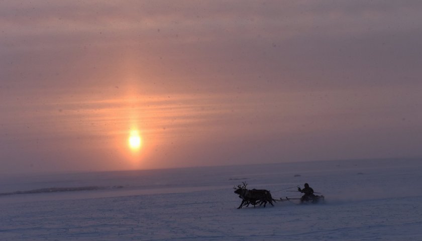 Северное сияние в тундре
