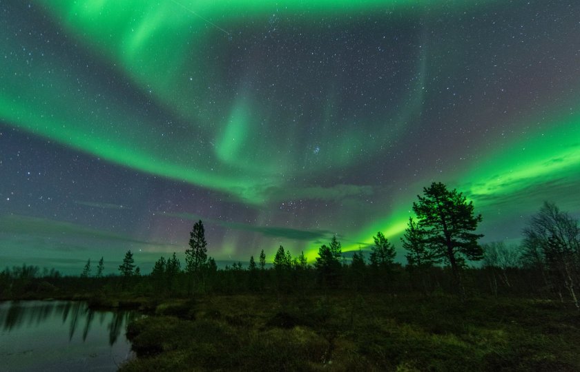 Северное сияние в лесотундре