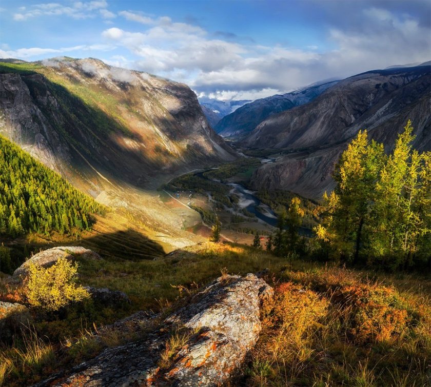 Золотые горы Алтая фото