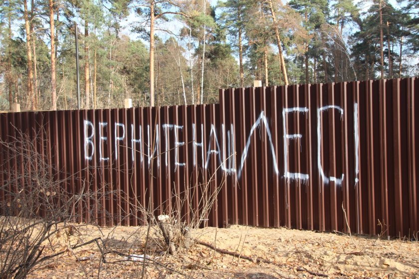 Высокий забор в лесу