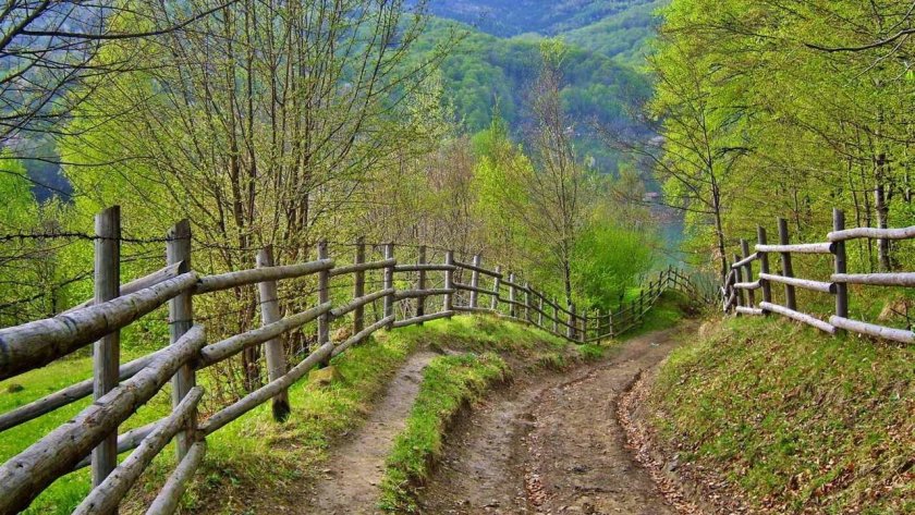 Деревенская природа