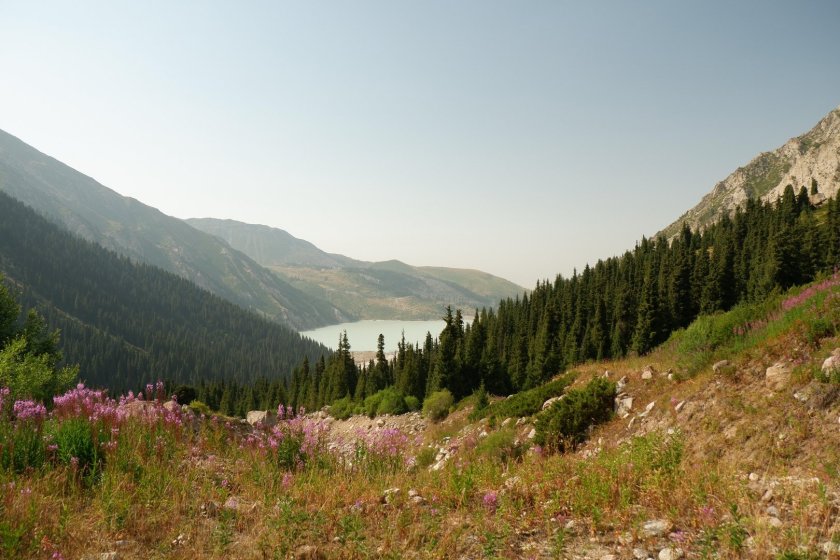 Альпийские Луга