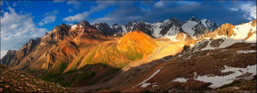 Альпийские Луга Заилийского Алатау