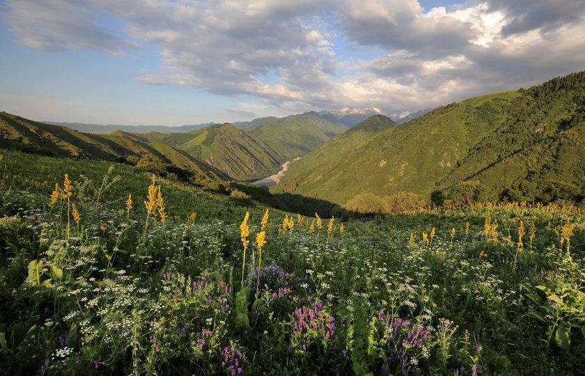 Предгорье Заилийского Алатау