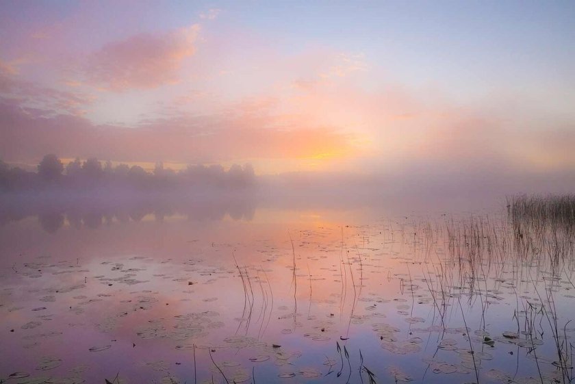 Уснуло озеро безмолвен лес