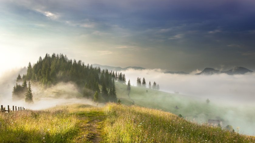 Карпаты Румыния холмы туман