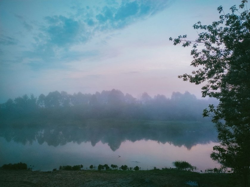 Природа Курского края