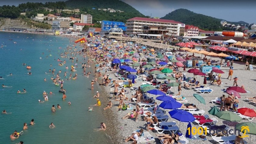 Поселок Ольгинка Краснодарский край