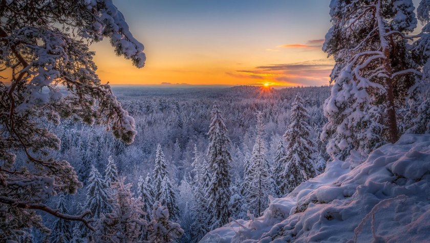 Природа Сибири зима