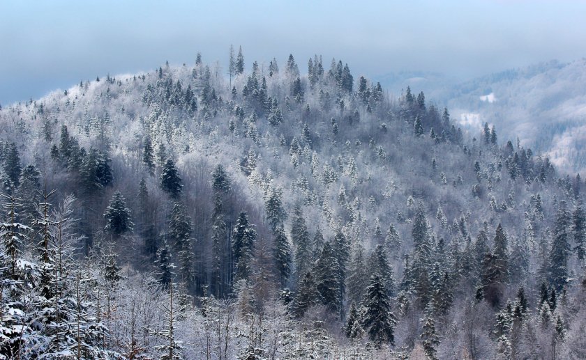 Горный Сибирская Тайга