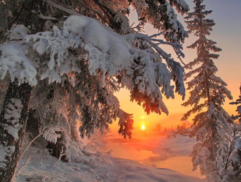 Природа Сибири зимой