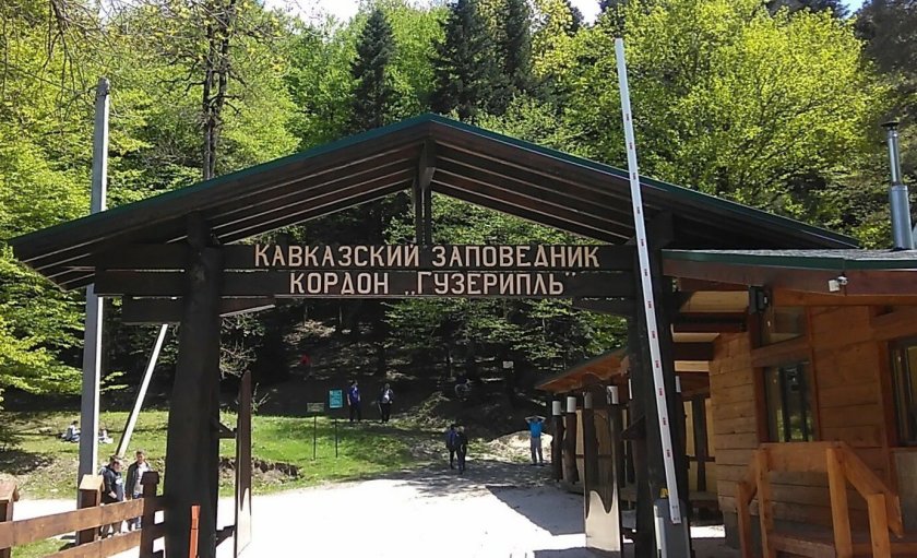 Гузерипль заповедник