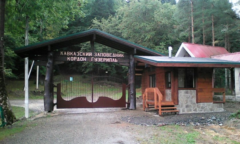 Кавказский заповедник кордон Гузерипль
