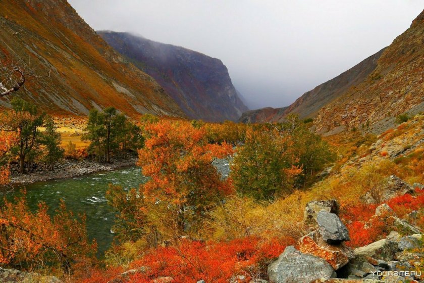 Катунь осенью горный Алтай