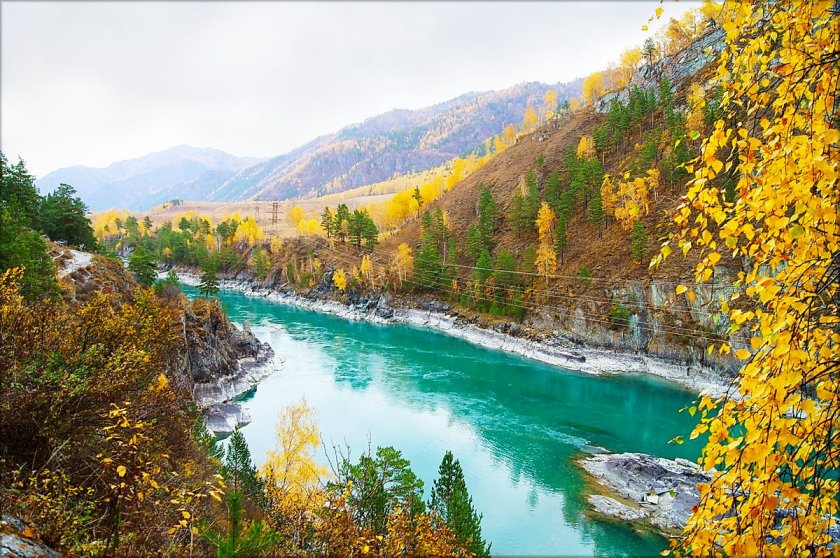 Горный Алтай Катунь