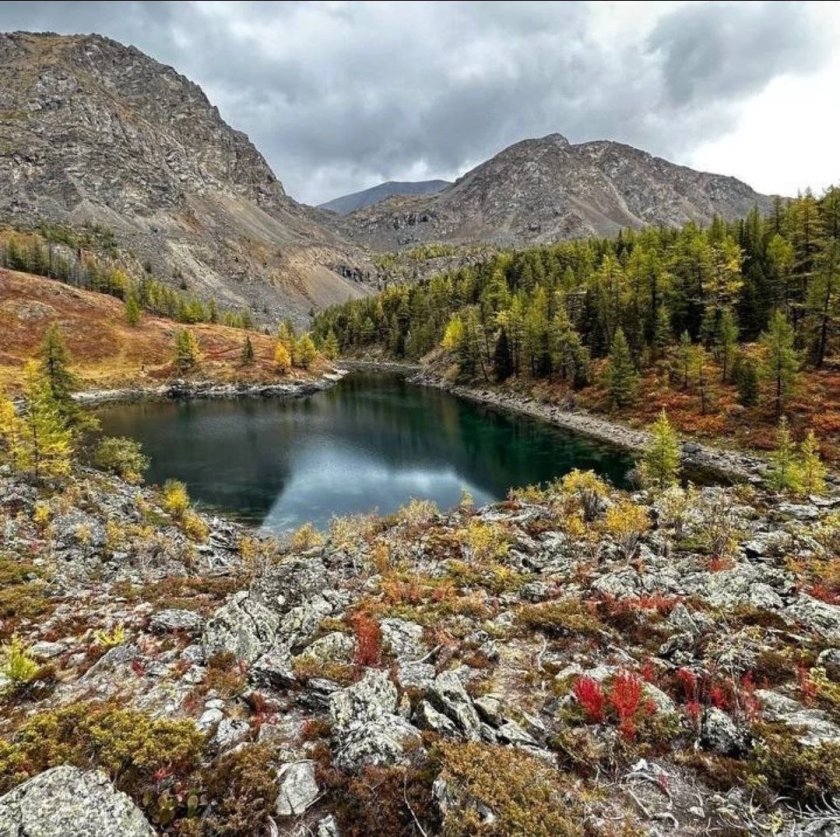 Каска Алтай фото
