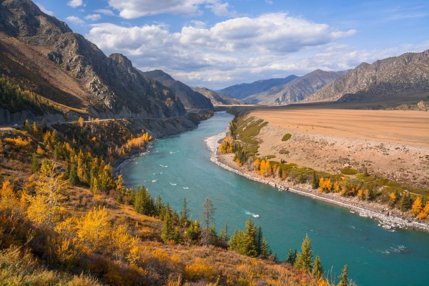 Река Катунь осенью