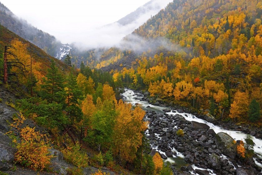 Горы Алтая Катунь осень