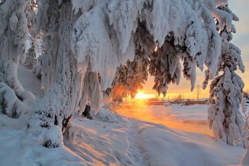 Природа Сибири зимой