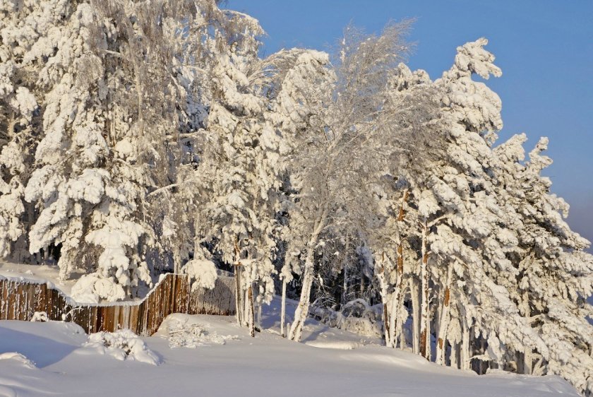 Красота Сибири зимой