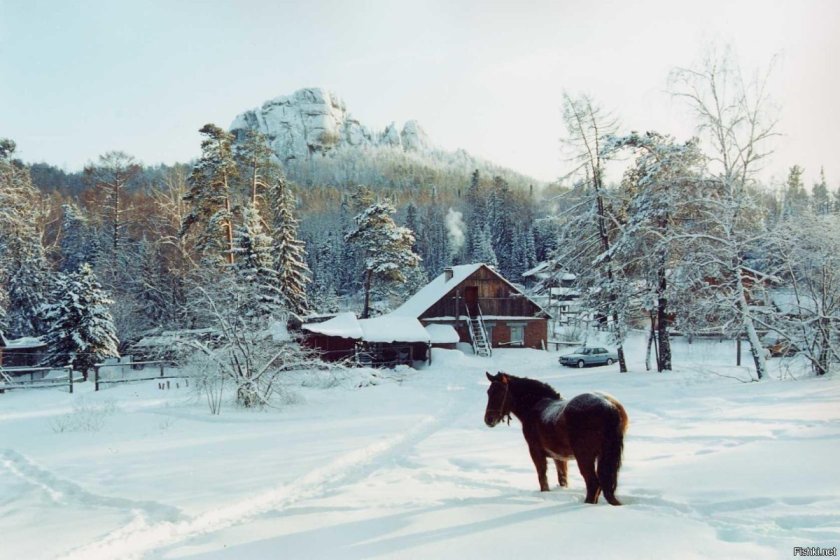 Природа Сибири зима