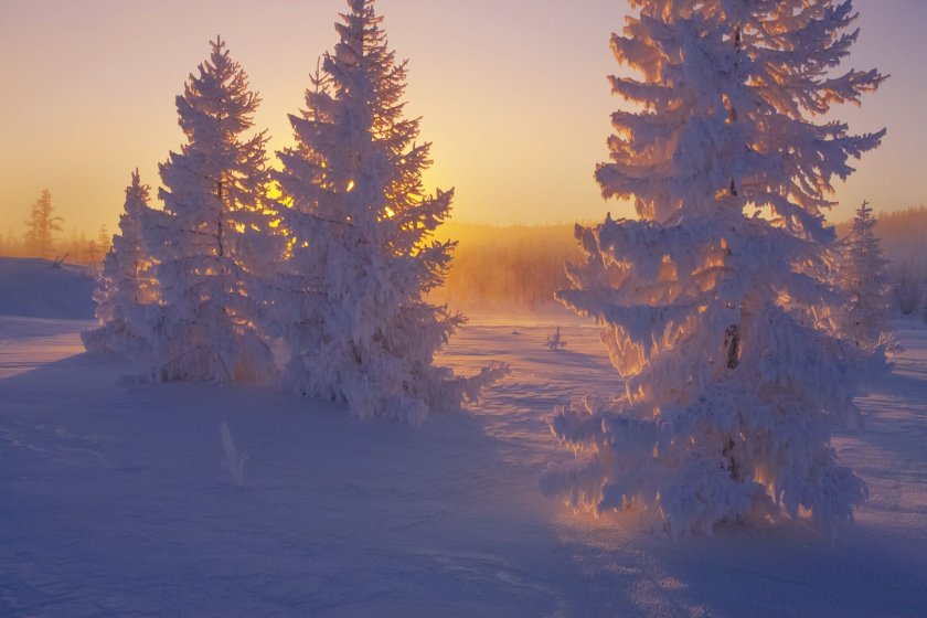 Пейзажи Сибири
