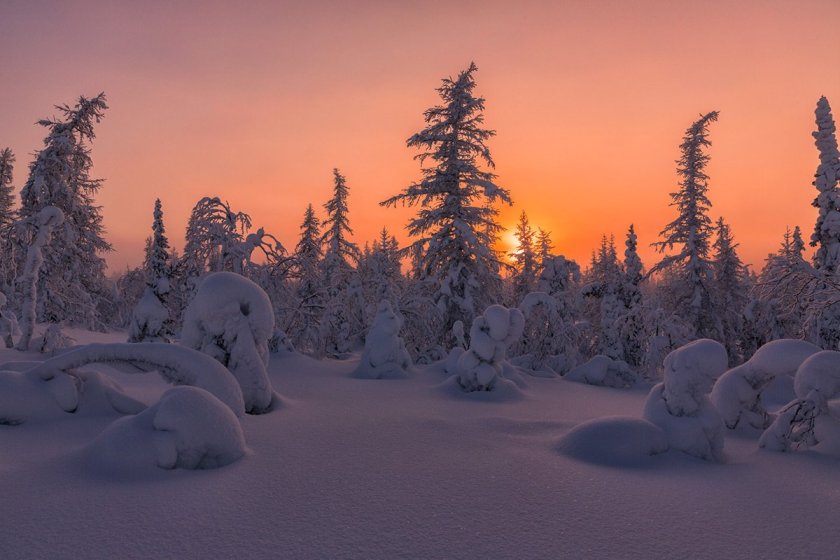 Природа Сибири зима