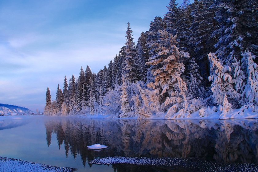 Зимняя природа