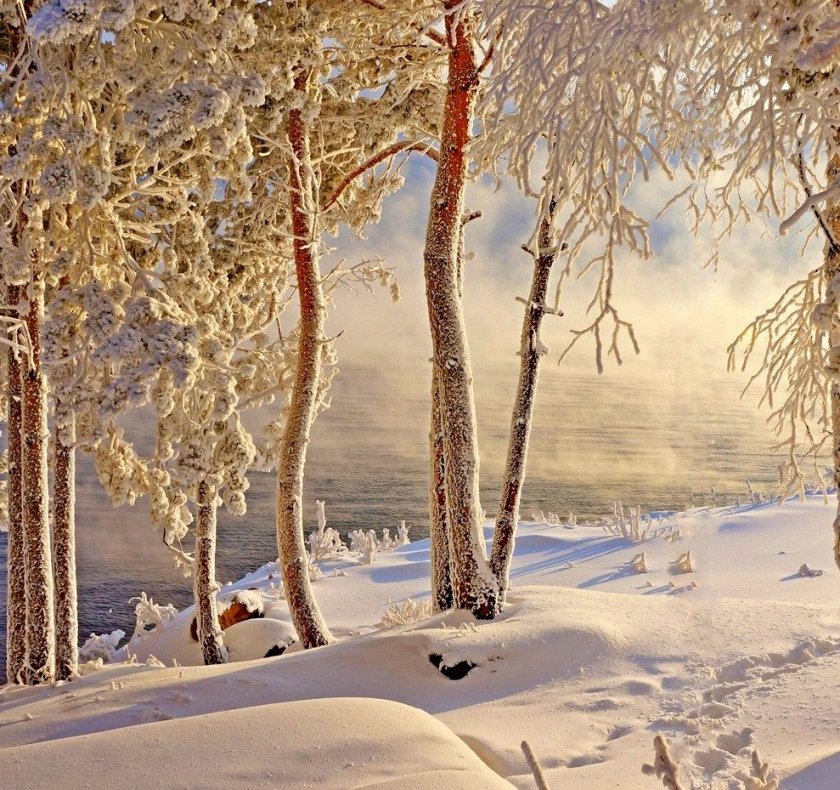 Природа Сибири зима