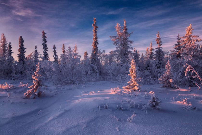 Северная природа