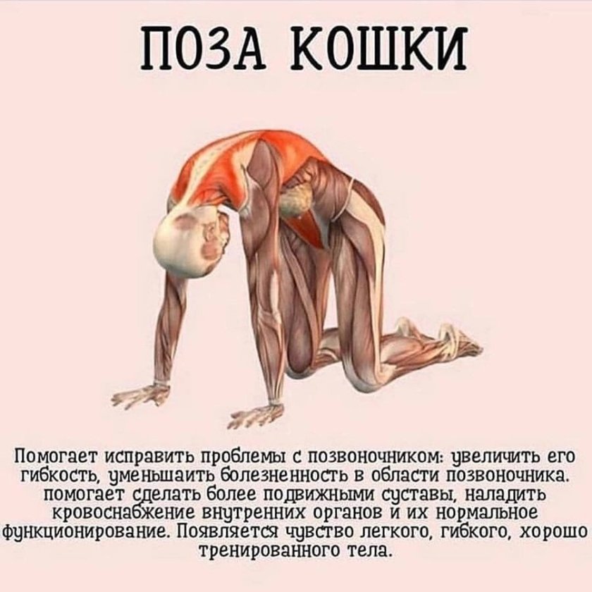 Полезные позы в йоге